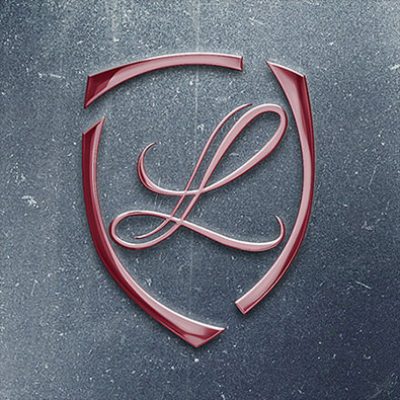 Premium logo and WordPress website for LIDIS